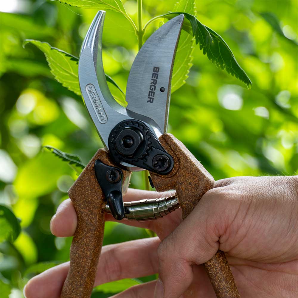 Now in Australia through Cannings: Berger German-made hand shears (C1200) with cork handles, forged steel body, and classic bypass blade. Durable, ergonomic, and built for everyday pruning. 3