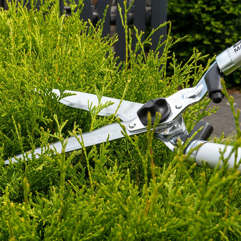 Now in Australia through Cannings: Berger German-made hedge shears with cork handles. 61cm long with 24cm wavy forged blades, shock absorbers, and sap grooves for clean, precise trimming. 6