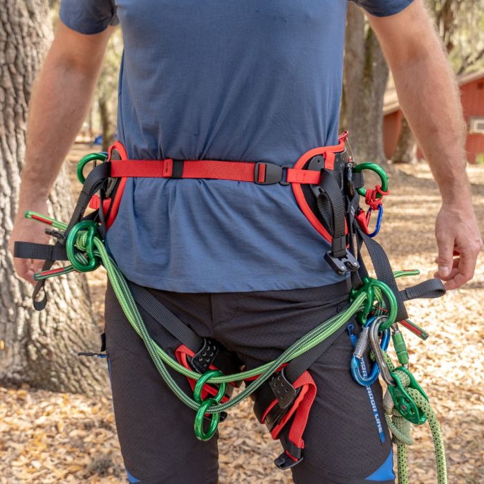 Teufelberger treeMOTION Pro Harness