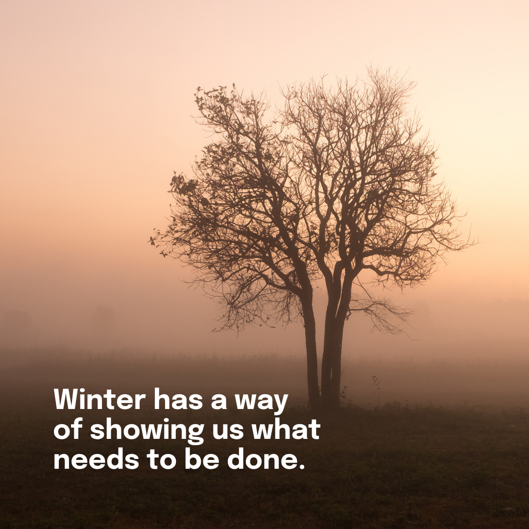 Tool Talk @ Cannings - Winter has a way of showing us what needs to be done. Before spring check your tools - for arborists, landscapers and professional gardeners. Cannings 