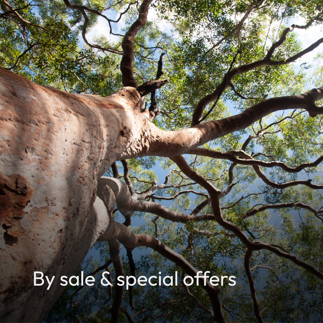 Sale and Special Offers