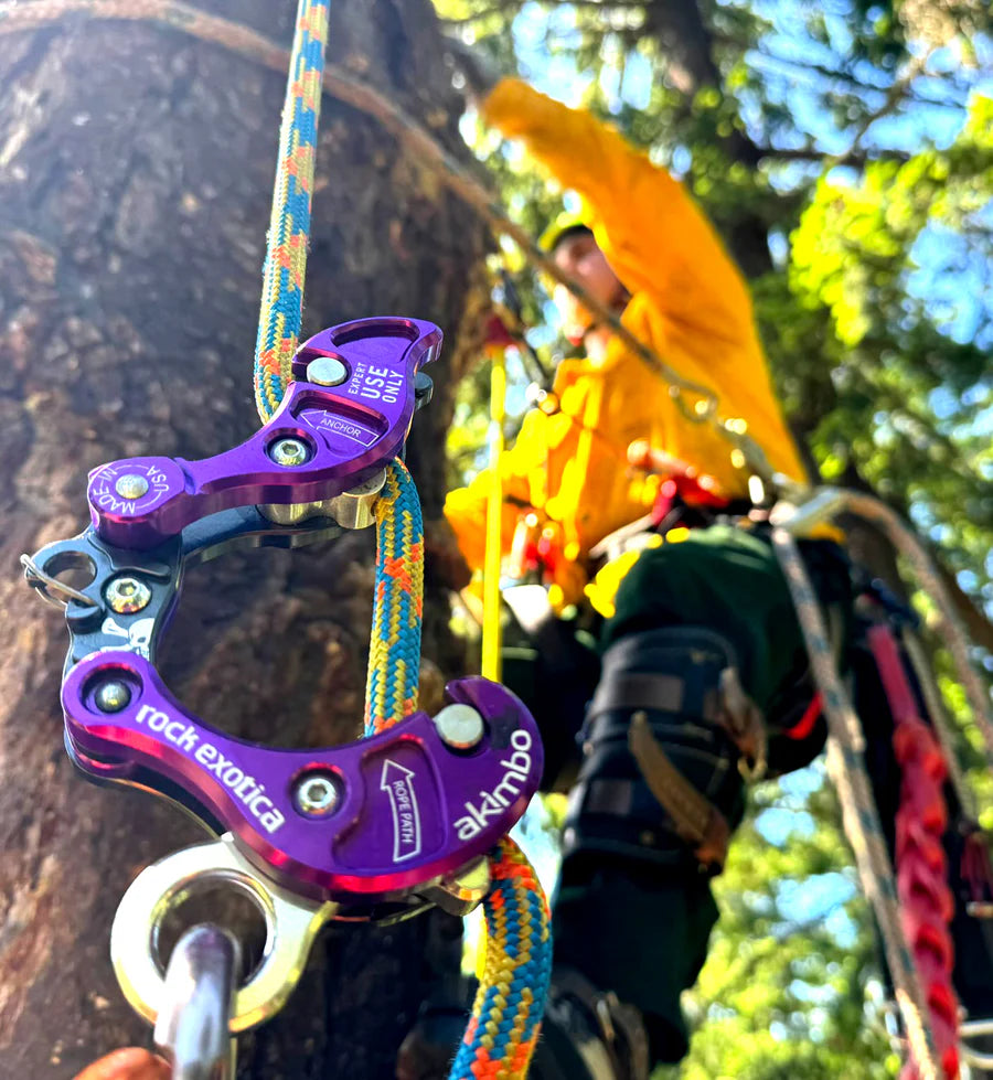 Rock Exotica Akimbo²