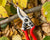 BERGER PROFESSIONAL PRUNING SECATEURS - ANGLED BLADE