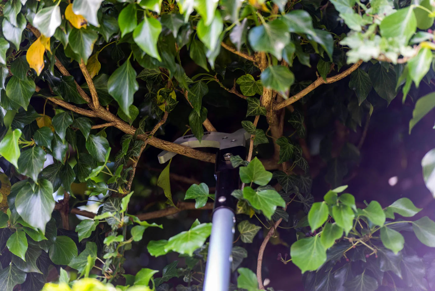 BERGER ARBORAPID UNIVERSAL HOOK