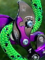 Rock Exotica Akimbo²