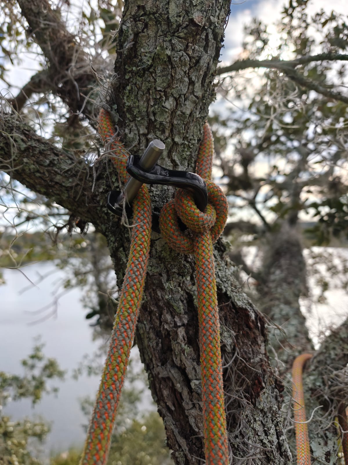 The Notch Quickie steel connector is a compact, CE-certified anchor and redirect device for arborists and climbers. Half the size of a carabiner — strong, safe, and versatile. 23