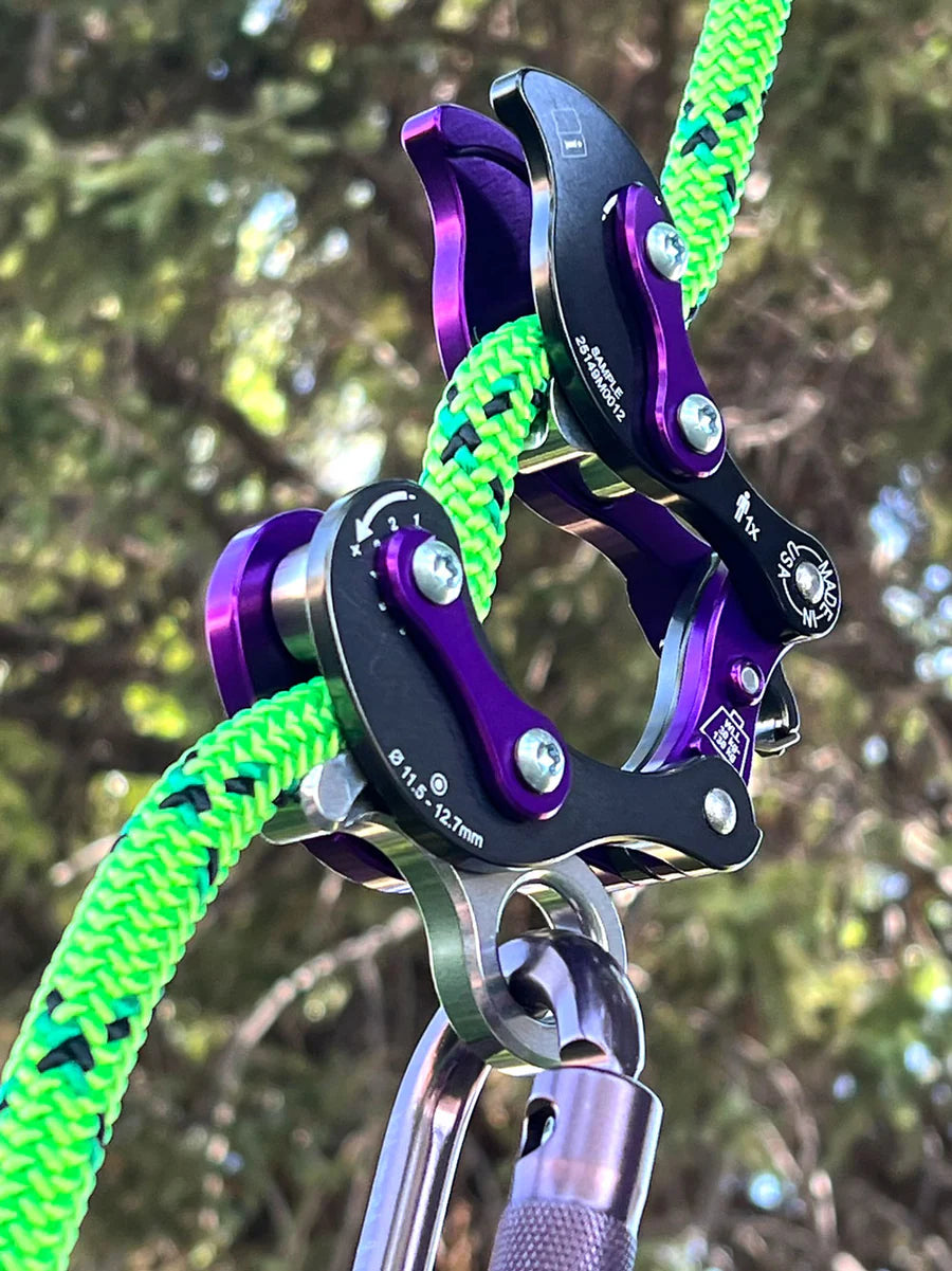 Rock Exotica Akimbo²