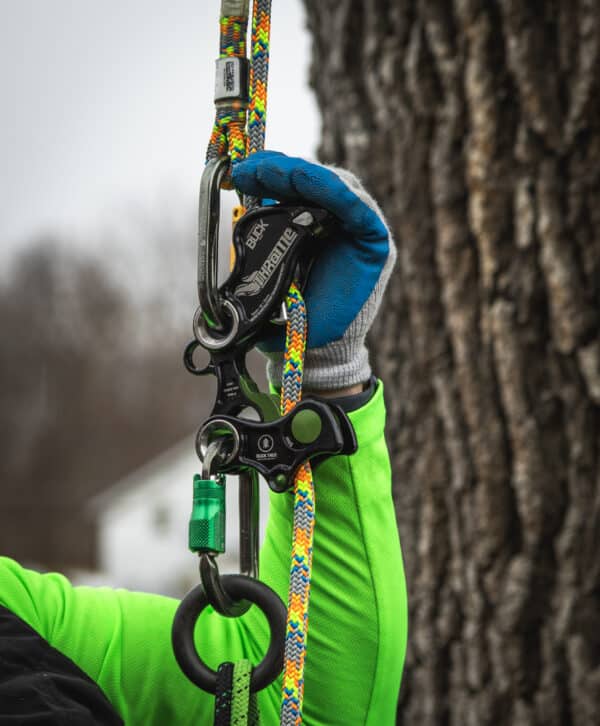 BUCKINGHAM THROTTLE CLIMBING DEVICE