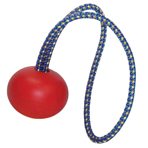Buy the genuine 22mm ART Cherry Ball and String for RopeGuide at Cannings. Authentic replacement retrieval ball designed for ART Link & Cocoon pulleys.