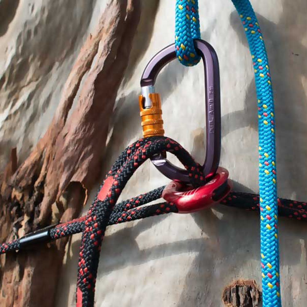 Close-up of climbing ropes and carabiners attached to a rock wall. An ART SnakeAnchor is being utilised. Shop now at Cannings