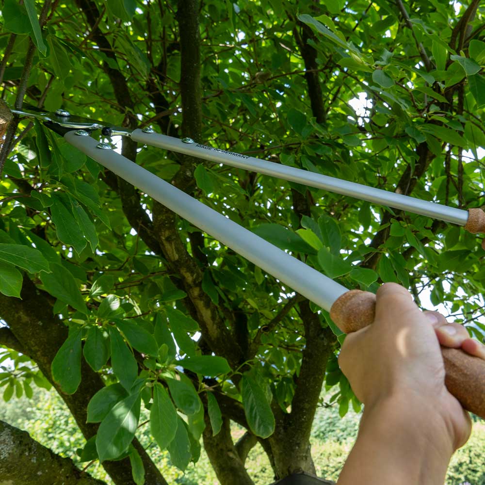 Now available in Australia through Cannings: Berger German-made MegaCutter loppers with cork handles. 82cm reach, forged steel head, oil reservoir, and shock absorbers for powerful, precise cutting. 3