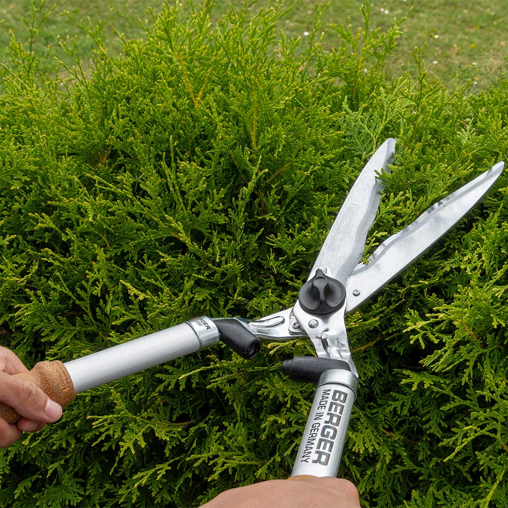 Now in Australia through Cannings: Berger German-made hedge shears with cork handles. 61cm long with 24cm wavy forged blades, shock absorbers, and sap grooves for clean, precise trimming.