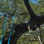 Yale Blue 32 arborist and industrial climbing rope. Available in 11.5mm and 11.7mm, 45m or 60m. Ideal for arborists, rope access, rescue, utilities and work at height. Shop Yale ropes at Cannings. 4