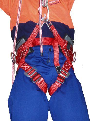 Buckingham Aussie Economy Harness